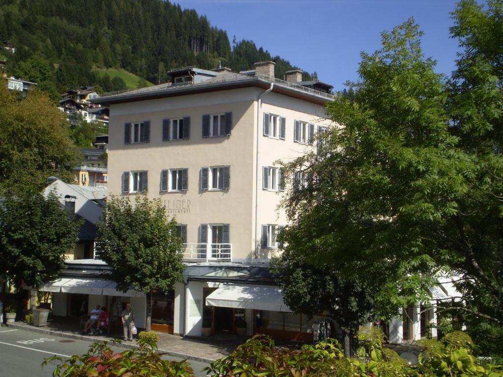 Apartment Steiner - In - Out Zell am See